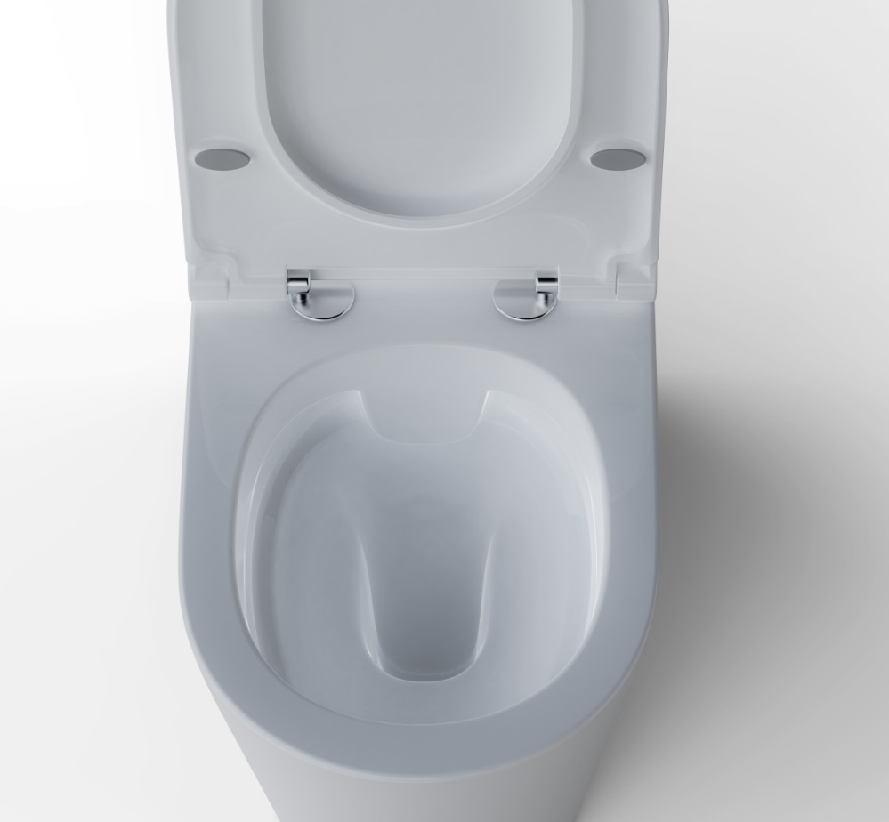 Arrow Sergio 669*384*805mm Dual Flush Washdown Two-piece Ceramic Toilet Suite Soft Closed Seat - Image 5